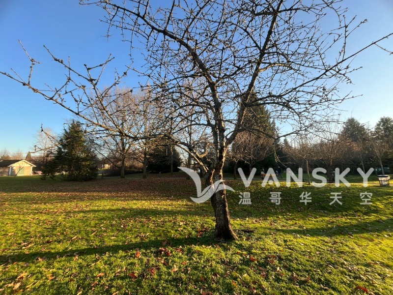 260121130354_Birch Park 3.jpeg